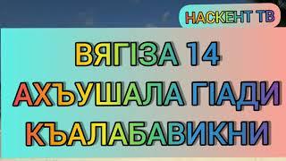 ВЯГIЗА 14 АХЪУШАЛА ГIАДИ КЪАЛАБАВИКНИ