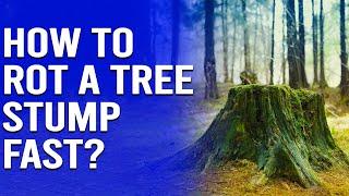 How to Rot a Tree Stump Fast - 5 Effective Methods