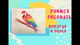 Учимся рисовать попугая| рисование для детей 7+ | В мире животных 2 урок