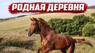 Родная деревня | Удеревка, Колпнянский район, Орловская область