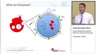 A Path to the Standardiation of Exosome Isolation & NGS Characterization for Complex Disease Studies