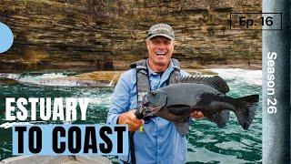 Estuary to Coast: Drummer & King Fish
