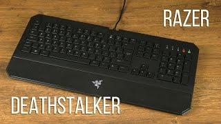 Распаковка Razer Deathstalker