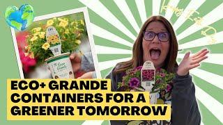 Proven Winners Direct Invites You To Be A Part Of A Greener Tomorrow With Eco+ Grande Containers