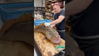 Owner Fillets a Rare, High Grade Fish“Saw-edged Perch” Weighing More Than 17kg  #japanesefood