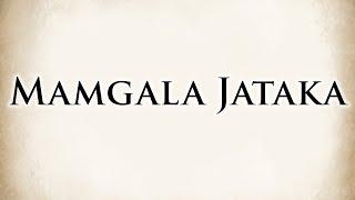 The Cloth Reader | Mamgala Jataka | Animated Buddhist Stories