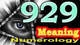 Angel Number 929 Meaning | Seeing 929 | Numerology Box