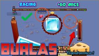 EPIC BURLAS Racing FIRST Gameplay #107 -TRANSFORMICE