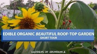 Organic Edible 'Beautiful' Rooftop Garden - Hyderabad, India