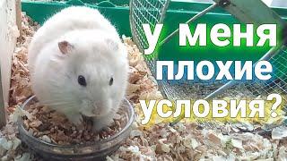 У МЕНЯ ПЛОХИЕ УСЛОВИЯ?!