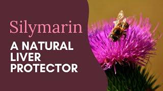 Silymarin: A Natural Liver Protector #detox #health #metabolism #weightloss #fatburn #liver