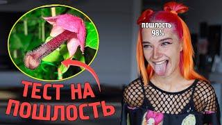 ПРОХОЖУ ТЕСТЫ! УЗНАЛА свое НАСТОЯЩЕЕ ИМЯ... Я ПОШЛАЯ?