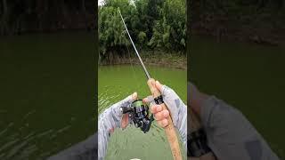 Spinning Rod Precise Cast?