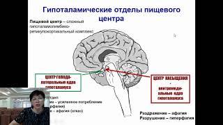 Физиология пищеварения