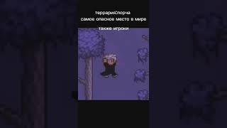 террария: порча самое опасное место в мире также игроки