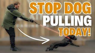 How To STOP YOUR DOG PULLING In 1 Day!