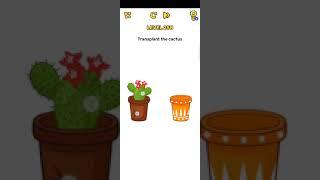 Brain Blow Level 258 | Brain Blow Transplant the cactus Answer