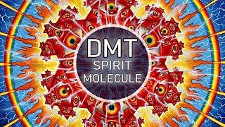 DMT "SPIRIT MOLECULE" | Basic Info & Common Questions Answered