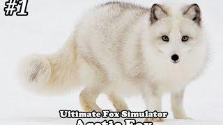 Ultimate Fox Simulator - Arctic fox with mate - Android/iOS - Gameplay Part 1