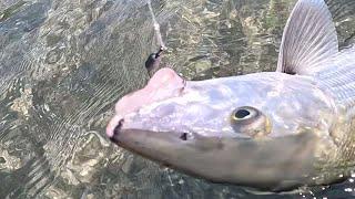 My New Bonefish Jigs Should Be Illegal.  Plus, prototyping the Chum Chucker 5000.