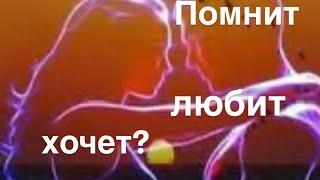 Помнит, любит, хочет? ️‍