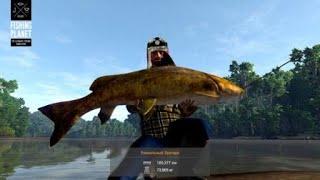 Fishing Planet Уник ЗУНГАРО 73кг! Бой с ТЕНЬЮ! МАРРОН