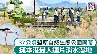 上水塱原自然生態公園今日開幕 佔地37公頃 擁本港最大連片淡水濕地｜星島頭條新聞｜上水｜塱原｜自然生態公園｜濕地｜保育｜古洞北｜粉嶺北