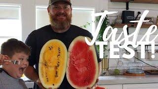 Taste Test Yellow and Red Watermelon | Gardening