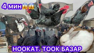 Ноокат тоок базар