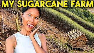 Simple Life in the Philippines: Sugarcane Dreams, Grilled Chicken & Mosquitoes