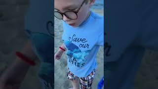 Saving the Sea Turtles, Video 1