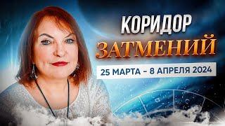 Как использовать коридор затмений 25 марта - 8 апреля наиболее эффективно для себя? | Мария Дивеева