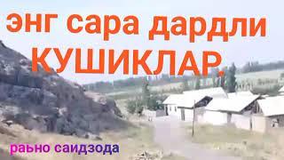 Энг куп курилган видео