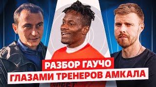 РАЗБОР ГАУЧО- Глазами тренеров АМКАЛА// 1 часть