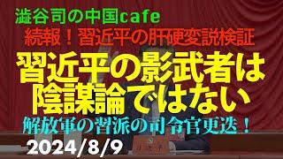 習近平の影武者は陰謀論ではない　　#中国共産党　#習近平