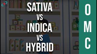 Sativa Vs Indica Vs Hybrid: You've Been Picking Strains All Wrong ‍️