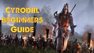 ESO Cyrodiil Beginners Guide