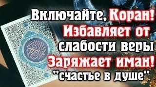  ВКЛЮЧАЙТЕ КОРАН -  ИЗБАВЛЯЕТ ОТ СЛАБОСТИ ВЕРЫ, ЗАРЯЖАЕТ ИМАН И СЧАСТЬЕ В ДУШЕ