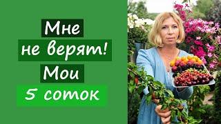 Мне не верят! Мои 5 соток