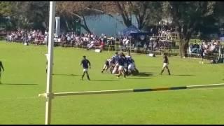 Paarl Boys v Rondebosch