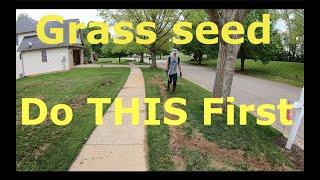 Growing grass seed? START it the right way