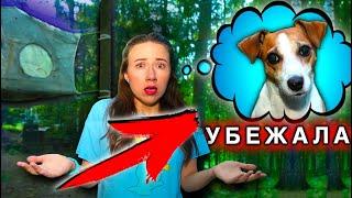 МОЙ ВЕЧЕР С ПИТОМЦАМИ - ЧТО ТО ПОШЛО НЕ ТАК - Собака Джина Убежала | Elli Di Pets