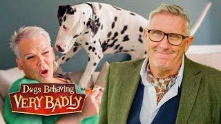 NEW SERIES: Returns Tuesday 7th of January on Channel 5 | Dogs Behaving Very Badly