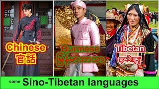 (Some) Sino-Tibetan languages compared | Mandarin chinese vs Burmese vs Tibetan | Verbale Mondo