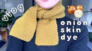 knitting & dyeing a tiny wool scarf with onion skins  