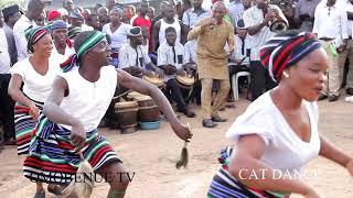 THE BEST TIV DANCE....A K A CAT DANCE