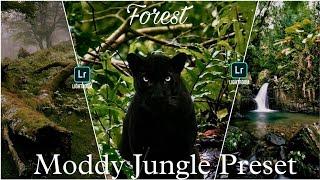 LIGHTROOM:- MOODY Jungle Photo Editing Tutorial/Lr PhotoEdit