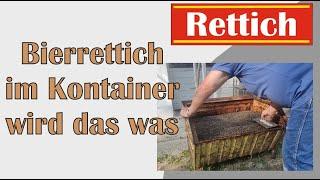 Rettich im Container Blech Kontainer Mörtelkübel anbauen. Erde wie Mörtel mischen. Geht das so.