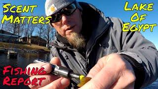 Top 5 FINESSE SHAKEY HEAD BAITS For WINTER BASS (Don't Miss This Bite)