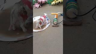 Mani cow video how to make DIY tractor water pump project cow video #shorts #waterpump #waterpumping